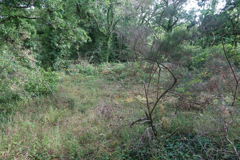 Château de Frynaudour (Quemper-Guézennec)