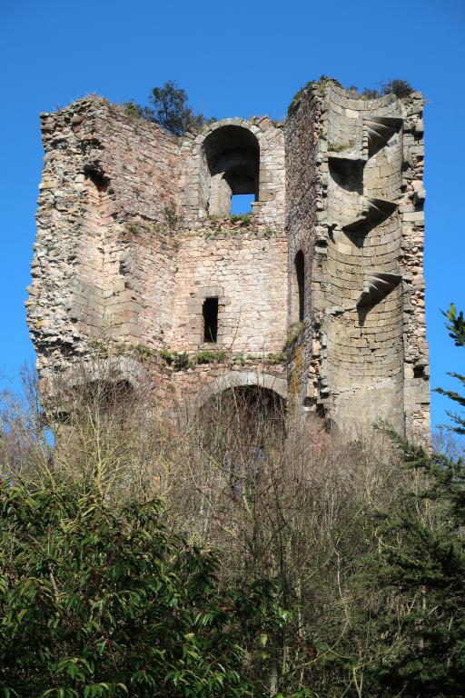 Château et tour de Cesson, Domaine de la Tour de Cesson, rue de la Tour (Saint-Brieuc)