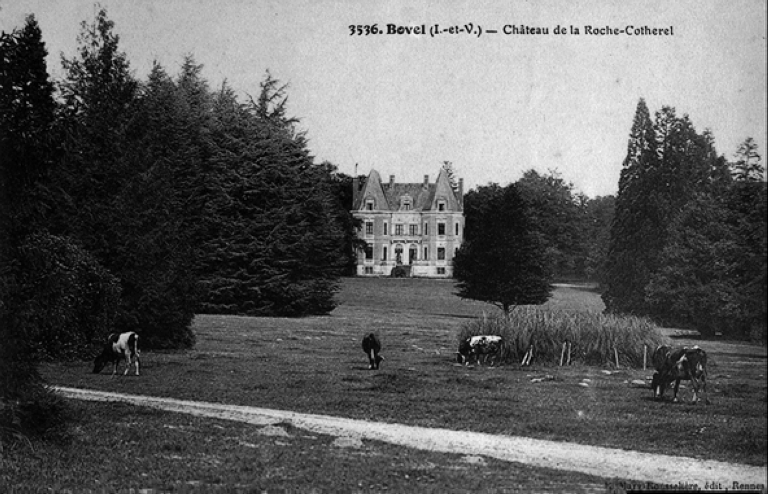 Château, la Roche Cotherel (Bovel)