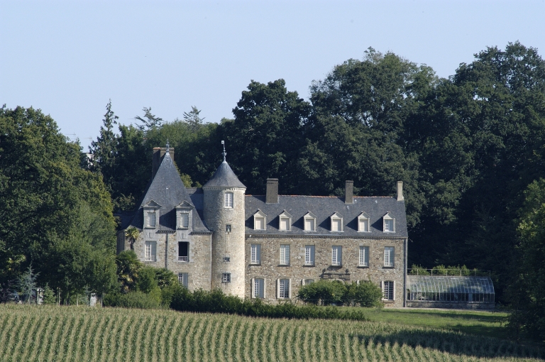 Château (Saint-Aubin-d'Aubigné)