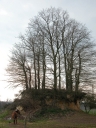 Motte, la Motte Marcillé (Gévezé)