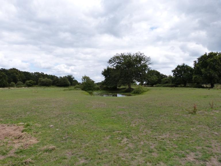 Alignement de menhirs de Bringuerault, Clos-Alaire, les Bredouillères (Bazouges-sous-Hédé)