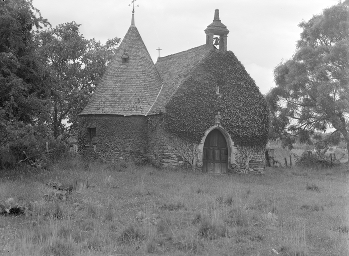 Château fort (Rochefort-en-Terre)