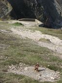 Poste de chargement de galets, Dinan (Crozon)