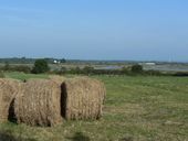 Espace salicole oriental de Séné
