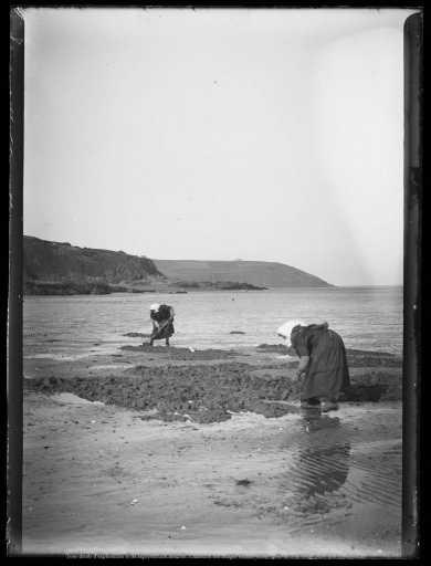 Outils de pêche à pied