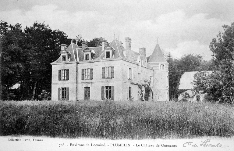 Château de Guénanec (Plumelin)