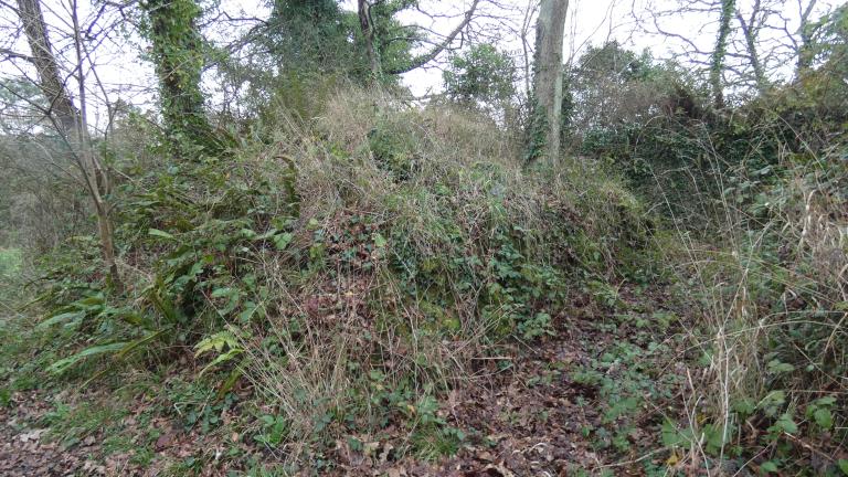 Motte de Botloy (Pleudaniel)